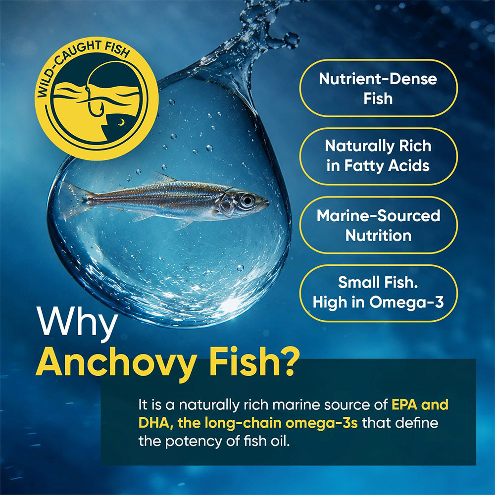 Omega-3 Fish Oil Softgels